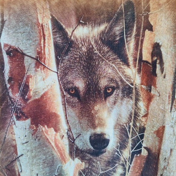 The Mountain Wolf Woods Rocky Mountain National Park T Shirt S 2011 Colin Bogle - Picture 3 of 5